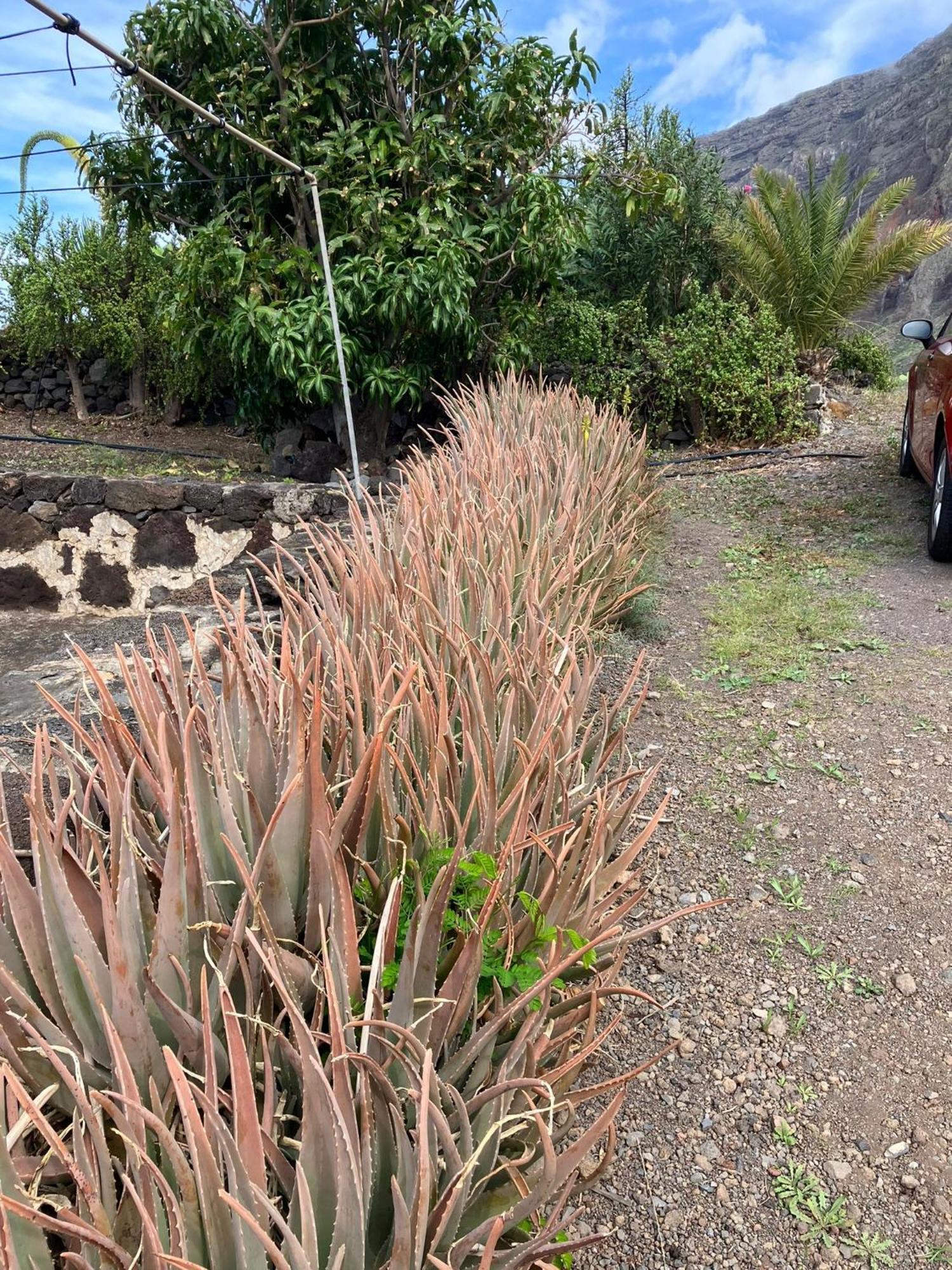 Casa Nela. Rural Y Acogedora En Las Puntas El Hierro Frontera Kültér fotó