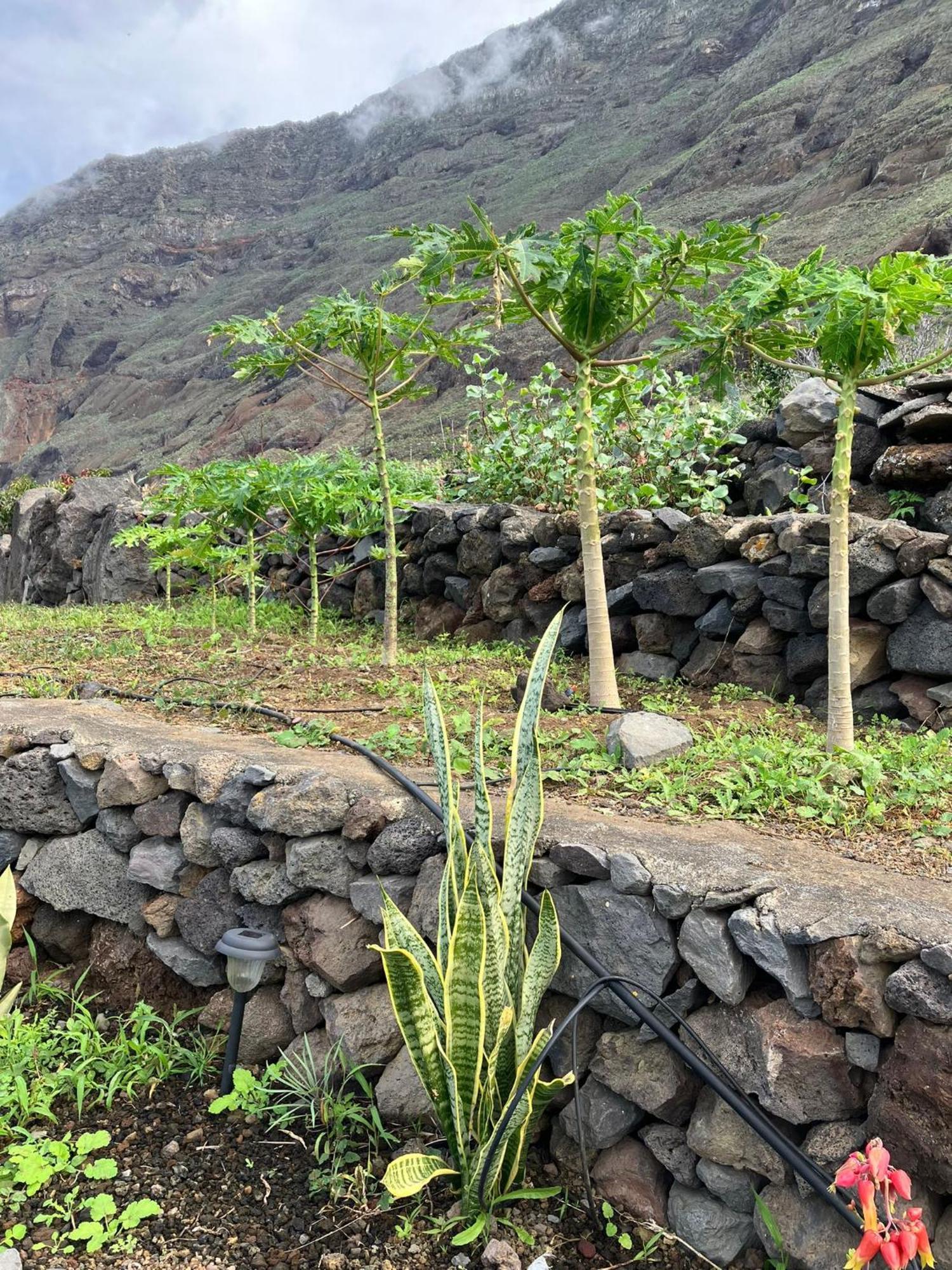 Casa Nela. Rural Y Acogedora En Las Puntas El Hierro Frontera Kültér fotó